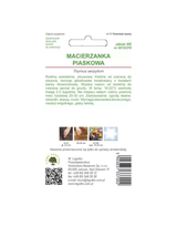 Macierzanka piaskowa - lilaróżowa