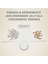 PURINA ONE Adult Mini/Small Karma dla dorosłych psów 26x85g