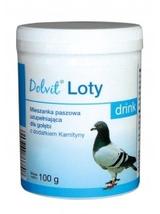 Dolvit Loty drink 100g