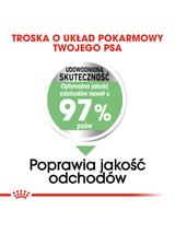 ROYAL CANIN CCN Maxi Digestive Care 3kg karma sucha dla psów dorosłych, ras dużych o wrażliwym przewodzie pokarmowym