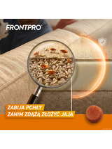 Frontpro tabletki na pchły i kleszcze S 11,3mg 2-4kg x 3tabl