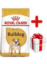 ROYAL CANIN Bulldog Adult 12kg karma sucha dla psów dorosłych rasy bulldog + niespodzianka dla psa GRATIS!