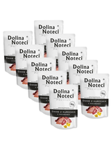 DOLINA NOTECI Danie z kurczaka z makaronem 10x100g-karma mokra dla psa