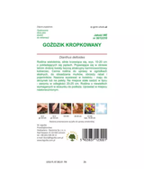 Goździk kropkowany karminowo-czerwony