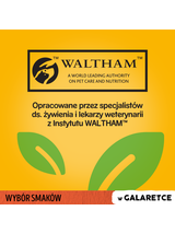 PEDIGREE Adult saszetka 12x100 g - Wybór Smaków w Galaretce, mokra karma pełnoporcjowa w galaretce dla dorosłych psów (kawałki bogate w mieszankę wołowiny i wątróbki, bogate w kurczaka, bogate w mieszankę jagnięciny i wątróbki oraz bogate w drób)