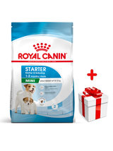 ROYAL CANIN Mini Starter Mother & Babydog 1kg karma sucha dla suk w ciąży i okresie laktacji oraz szczeniąt, od 4 do 8 tygodnia, ras małych  + niespodzianka dla psa GRATIS!