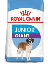 ROYAL CANIN Giant Junior 15kg karma sucha dla szczeniąt  od 8 do 18/24 miesiąca życia, ras olbrzymich + niespodzianka dla psa GRATIS!