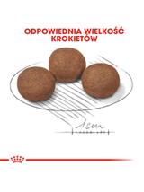 ROYAL CANIN Medium Puppy 15kg karma sucha dla szczeniąt, od 2 do 12 miesiąca, ras średnich + niespodzianka dla psa GRATIS!