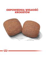 ROYAL CANIN Giant Adult 15kg karma sucha dla psów dorosłych, od 18/24 miesiąca życia, ras olbrzymich +  niespodzianka dla psa GRATIS!