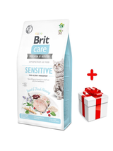 BRIT Care Cat Grain-Free Sensitive Allergy Management Insect 2kg + niespodzianka dla kota GRATIS!