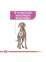 ROYAL CANIN CCN Maxi Relax Care 9kg + niespodzianka dla psa GRATIS!