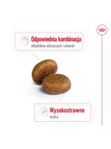 ROYAL CANIN Maxi Adult 5+ 15kg karma sucha dla psów starszych, od 5 do 8 roku życia, ras dużych / Opakowanie uszkodzone (8768,8995)!!!