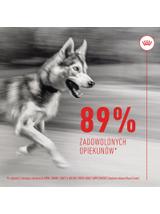 Royal Canin Joint & Ageing Adult Chews 240g