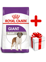 ROYAL CANIN Giant Adult 15kg karma sucha dla psów dorosłych, od 18/24 miesiąca życia, ras olbrzymich +  niespodzianka dla psa GRATIS!