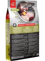 ORIJEN Dog Senior 6kg + niespodzianka dla psa GRATIS!