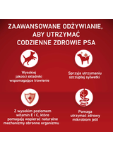 PURINA ONE Weight Control/Sterilized Medium/Maxi Karma dla psów bogata w indyka z ryżem 4x2,5 kg