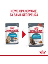 ROYAL CANIN Urinary Care karma mokra plasterki w sosie dla kotów dorosłych, wspierająca zdrowie dróg moczowych 12x85 g