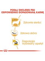 ROYAL CANIN West Highland White Terrier Adult 3kg karma sucha dla psów dorosłych rasy west highland white terrier / opakowanie uszkodzone (7982)!!