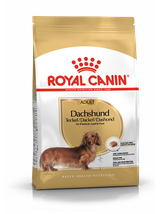 ROYAL CANIN Dachshund 7,5kg karma sucha dla psów dorosłych rasy jamnik + niespodzianka dla psa GRATIS!