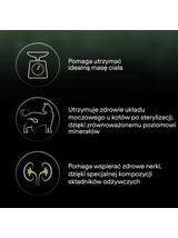 PRO PLAN LiveClear Karma dla dorosłych kotów po zabiegu sterylizacji bogata w indyka 2,8 kg/Opkowanie uszkodzone (9062)