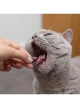 VETEXPERT Hepatiale Forte Small Breed & Cats 40 kaps.