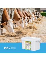 Lab-v Pectyn Vet - Mieszanka Paszowa Uzupełniająca Dietetyczna Dla Młodych Przeżuwaczy Stabilizująca Równowagę Wodno-Elektrolitową 1kg