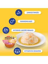Inaba DASHI uzupełniająca karma dla kota- kurczak i łosoś 70 g