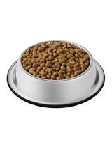 PURINA Cat Chow Adult Chicken Karma bogata w kurczaka 15kg