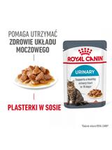 ROYAL CANIN Urinary Care karma mokra plasterki w sosie dla kotów dorosłych, wspierająca zdrowie dróg moczowych 12x85 g