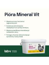 Lab-v Pióra Mineral Vit – wsparcie upierzenia i kondycji skóry drobiu grzebiącego 2000 g