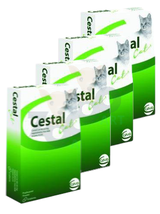 Cestal Cat tabletki na odrobaczanie kotów 8 tabletek