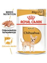 ROYAL CANIN Chihuahua Adult 12x85g karma mokra - pasztet, dla psów dorosłych rasy chihuahua