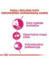 ROYAL CANIN  Exigent Savour 35/30 Sensation 10kg karma sucha dla kotów dorosłych, wybrednych, kierujących się teksturą krokieta + Piłka dla kota GRATIS!