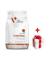 VETEXPERT Cat Intenstinal 2kg + niespodzianka dla kota GRATIS!