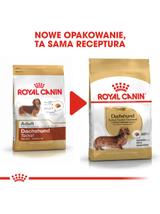 ROYAL CANIN Dachshund karma sucha dla psów dorosłych rasy jamnik  500g