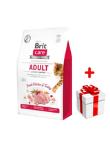 BRIT Care Cat  Grain-Free Activity Support 400g + niespodzianka dla kota GRATIS!