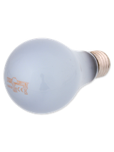 RP Żarówka  Daylight Neodymium 100W
