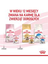 ROYAL CANIN Kitten Instinctive w galaretce 12x85g karma mokra w galaretce dla kociąt do 12 miesiąca życia + Royal Canin piłka dla kota GRATIS!!!