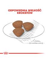 ROYAL CANIN Mini Puppy 8kg  + niespodzianka dla psa GRATIS!