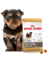 ROYAL CANIN Yorkshire Terrier Puppy 500g karma sucha dla szczeniąt do 10 miesiąca, rasy yorkshire terrier