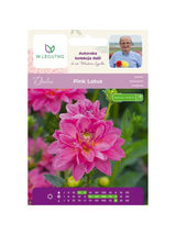 Dalia Pink Lotus różowa 1szt.