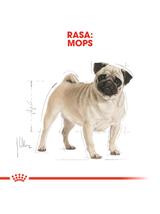 ROYAL CANIN Pug Adult 1,5kg karma sucha dla psów dorosłych rasy mops
