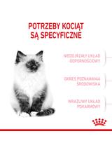 ROYAL CANIN  Kitten 2kg + niespodzianka dla kota GRATIS!