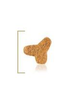 ROYAL CANIN  Fibre Response Gastrointestinal  FR 31 2kg