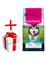 Eukanuba Adult Large Salmon&Barley 12kg + niespodzianka dla psa GRATIS!