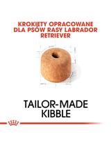 ROYAL CANIN® Labrador Retriever Adult 11,5 kg karma sucha dla psów dorosłych do 5. roku życia, rasy labrador retriever / Opakowanie uszkodzone (5766)!!!