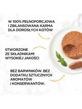 Purina Gourmet Gold mus z indykiem 48x85g