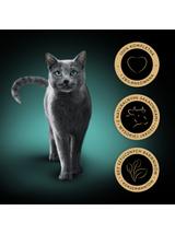 SHEBA Classics tacka 22x85 g – mokra karma pełnoporcjowa dla dorosłych kotów, z wołowiną, w terynie