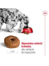 ROYAL CANIN Medium Ageing 10+ 15kg karma sucha dla psów dojrzałych po 10 roku życia, ras średnich