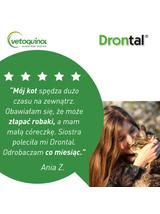 VETOQUINOL Drontal - preparat przeciwpasożytniczy dla kotów (2tabl.)